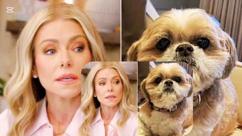 Kelly Ripa Heartbreakingly Remembers Her Beloved Dog Chewie After 17 Years .