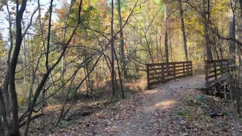 Late-Afternoon Autumn Hike | Nature ASMR, Hiking ASMR | Luton Park, MI