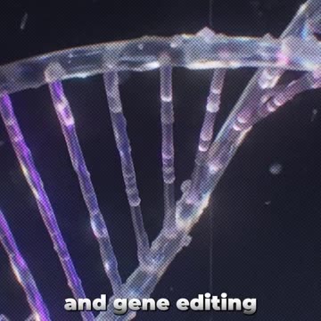 What Are These "Vaccines" Really?