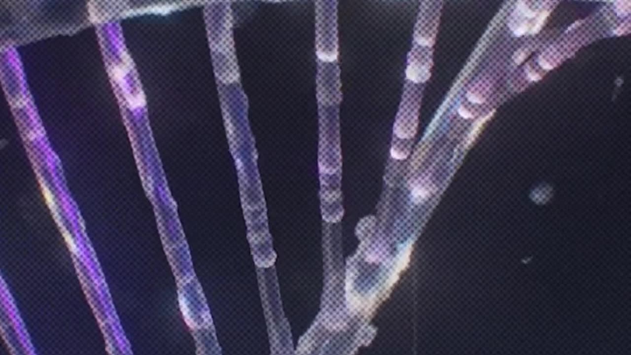What Are These "Vaccines" Really?