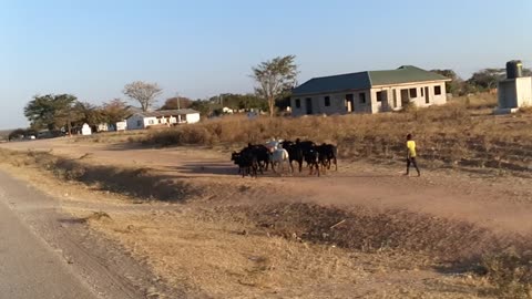 SLOW MO VIDEO. 24TH AUG 2022@17:03PM. MY LOONG ROAD TRIP THRU TANZANIA TO UGANDA CONTINUES#roadtrip