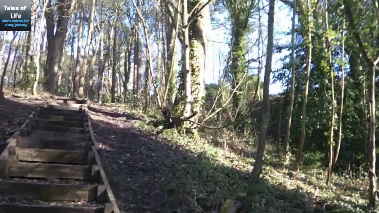 Whitehaven Wood Walk