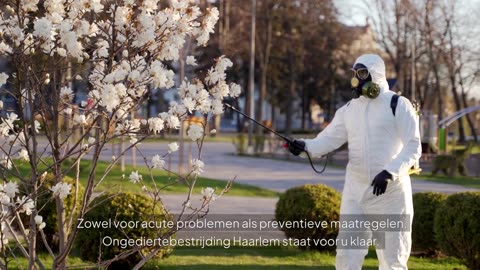 Ongediertebestrijding Haarlem - Uw Partner in Ongediertebestrijding!