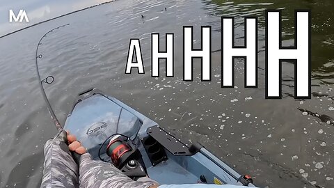 Sight Fishing for SHARKS from a Kayak!!!