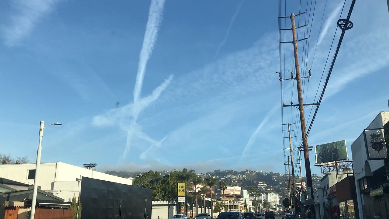 Hollywood Hills Spraying - 2/15/2025 AM