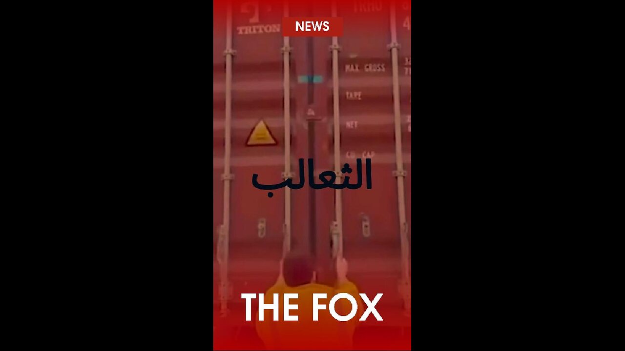 #الثعالب