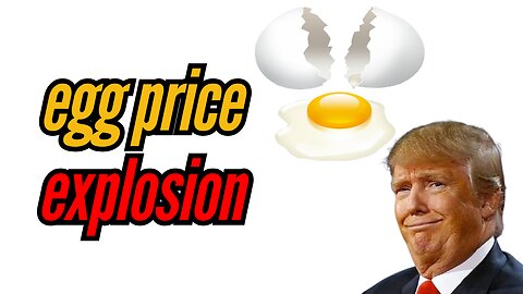 Egg Prices NOT GOING DOWN under Trump!