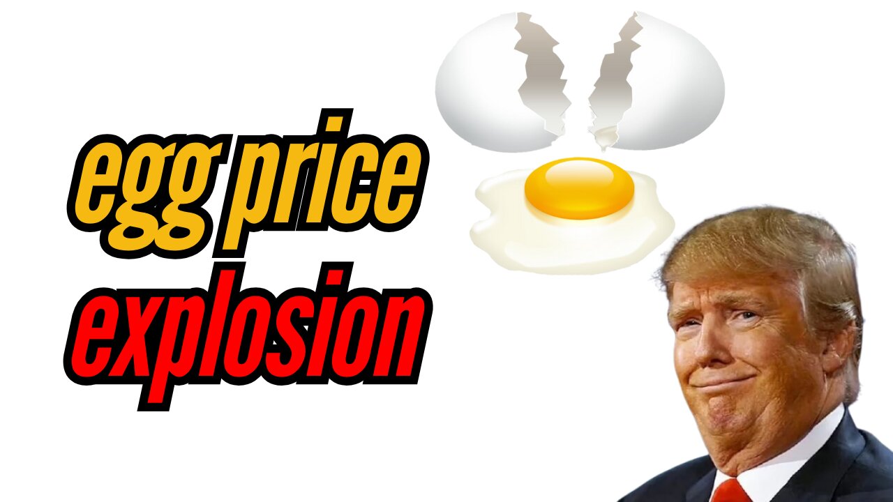 Egg Prices NOT GOING DOWN under Trump!