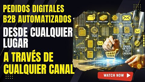 E470 [Esp]:📦PEDIDOS DIGITALES B2B AUTOMATIZADOS, DESDE CUALQUIER LUGAR, A TRAVÉS DE CUALQUIER CANAL