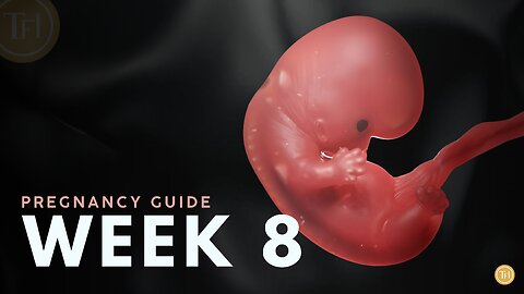 What to Expect at Week 8 | Week by Week Pregnancy Guide