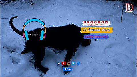 Skogpod 27. februar 2025