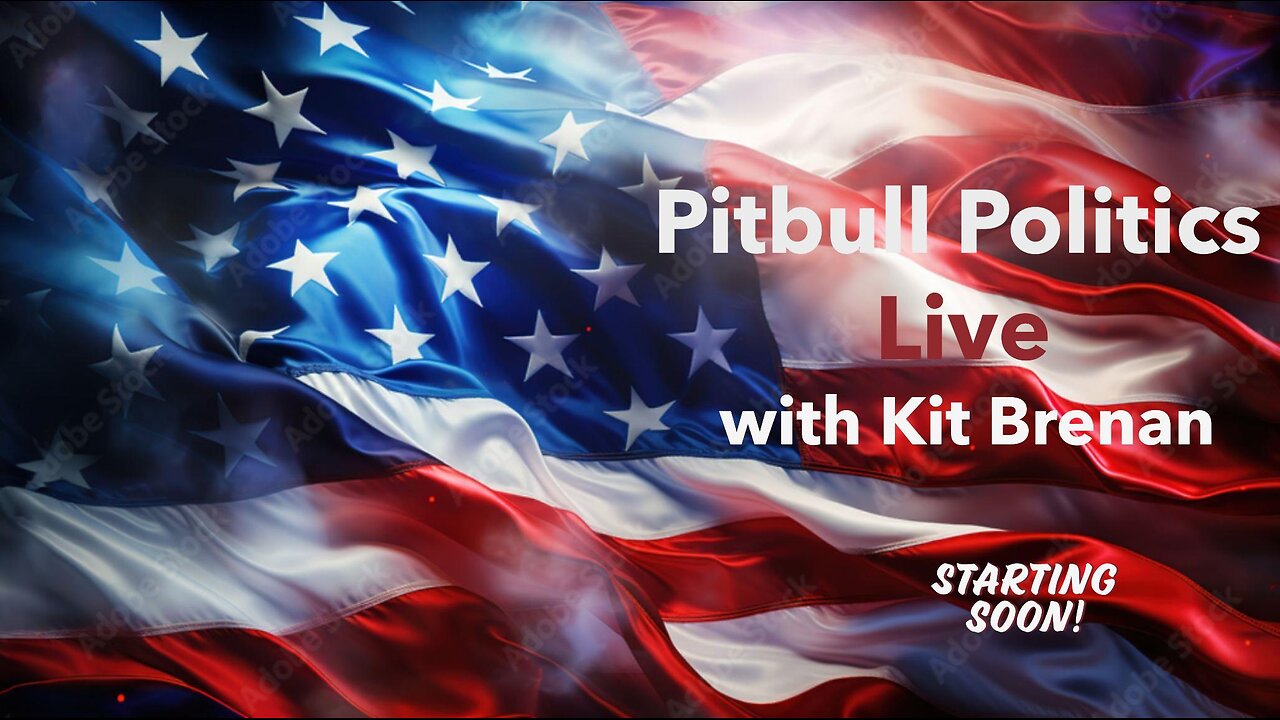 Pitbull Politics: Killing Small Business 'Legally"