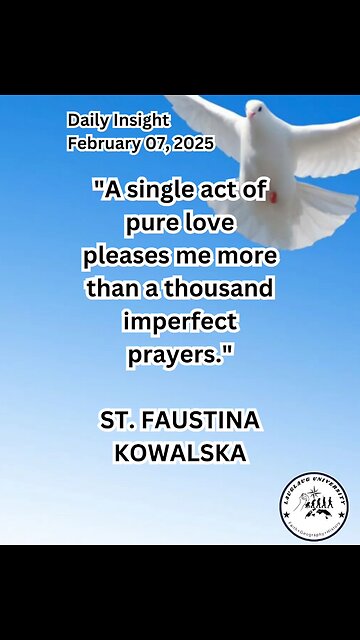 Daily Insight February 07, 2025