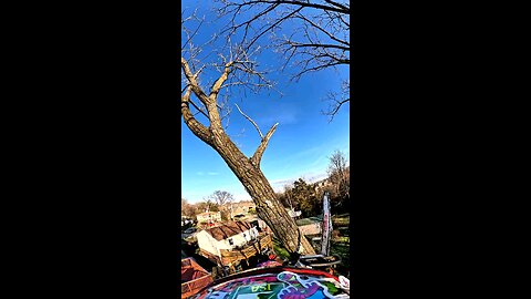 Sending It! Popping the Cottonwood Top Straight to the Ground Sending It! Popping the Cottonwood