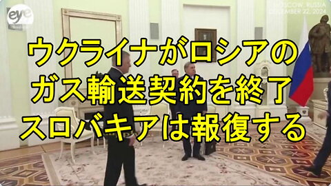 スロバキアのフィツォ大統領は、プーチン大統領と話し、ガス供給を確保