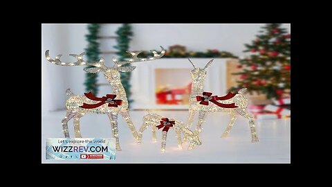 Set of 3 Christmas Decorations Outdoors Reindeer Light up Christmas Decor Deer Review