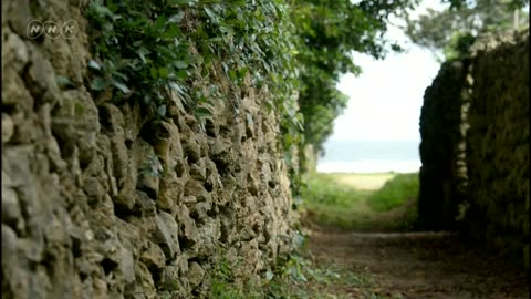 ニッポンの里山 ふるさとの絶景に出会う旅 「 防風林が育むチョウの楽園 」鹿児島県 喜界島