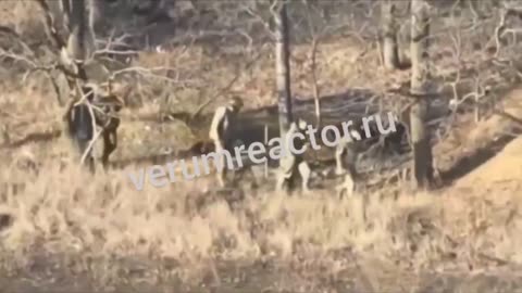 The footage shows six Ukrainian militants surrendering to Russian