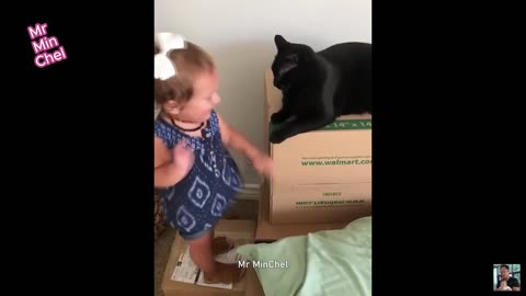 Funny Animals videos 🐶 Funniest Cats and Dogs 2024