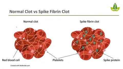 Dr Phillip McMillan ARE MICROCLOTS HIDING IN YOUR BODY RIGHT NOW?