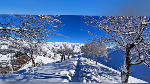 Winter