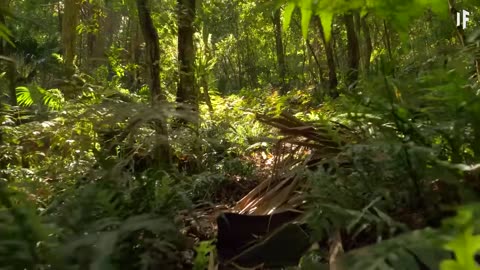 Earth Evolution in 10 Minutes