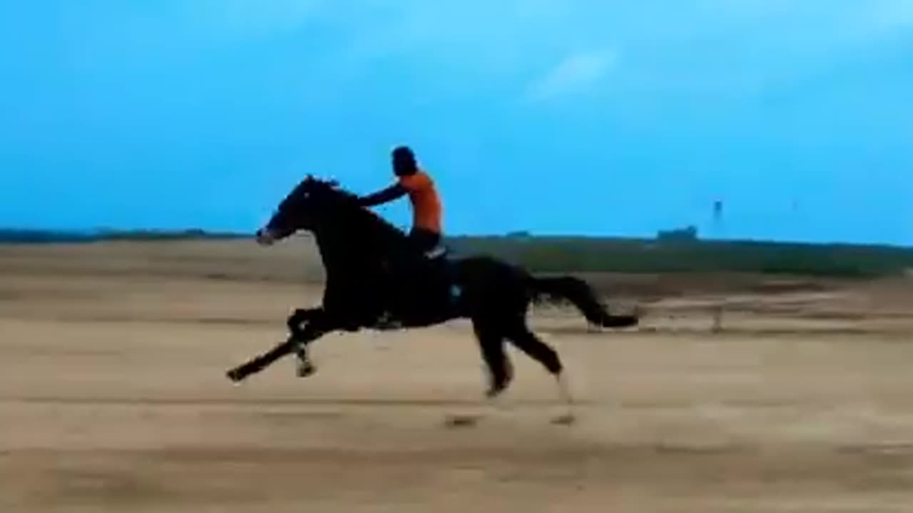 Horse running very fast