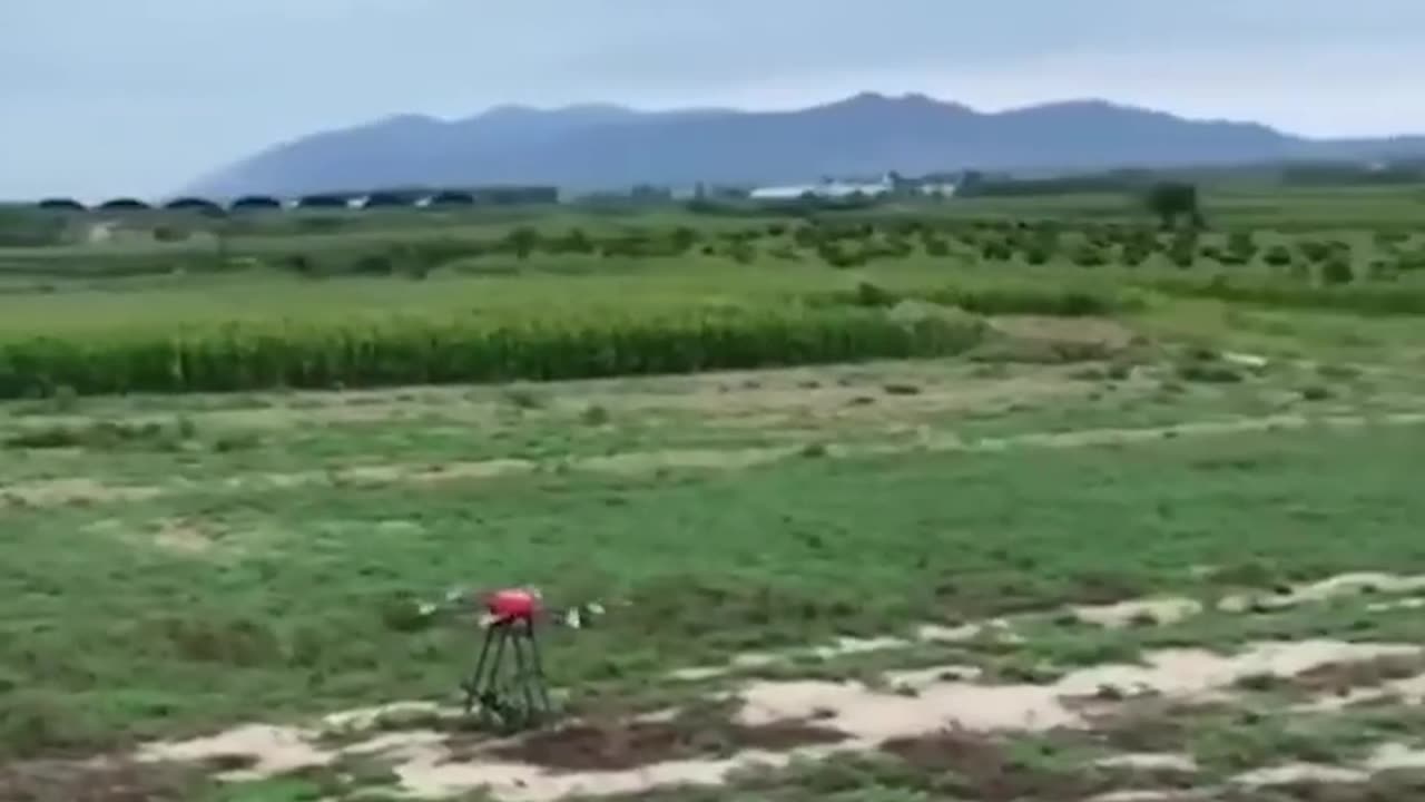 Chinese technology