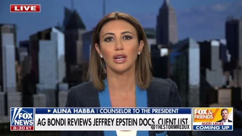 Alina Habba on Epstein Documents Release - They Don't Want Anyone to Know Who Was on Epstein's Island, Who was a Pedo, and Who Is Probably Still Sitting in DC"