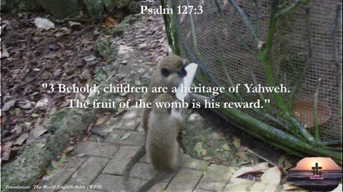 Psalm 127:3