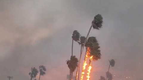 The images coming out of Southern California today are nothing short of horrifying.