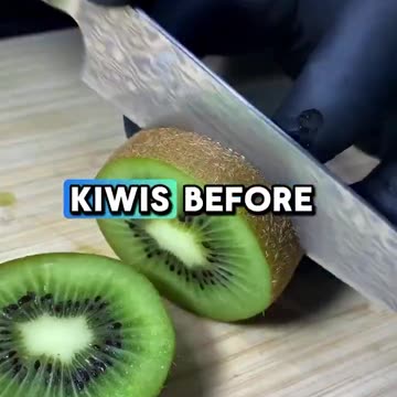 FASTING FOR 72 HOURS REGENERATES YOU IMMUNE SYSTEM! ~