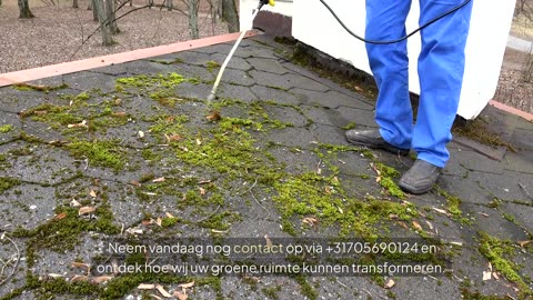 Boomverzorging Den Haag