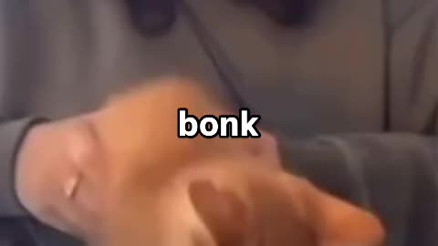 Kitty bonk