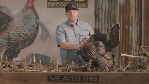 Upgrade Your Hunting Gear with James River Archery Turkey Decoys