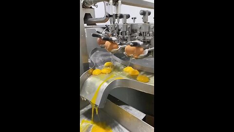 Egg processing for food industry