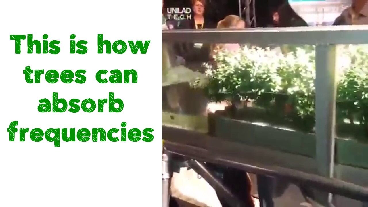 This is how trees can absorb frequencies