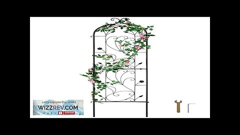 Metal Garden Trellis for Climbing Plant Support 60 x 15 in Rustproof Review