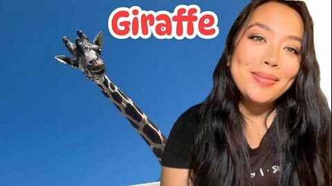 Giraffe 🦒/ Safari Zoo