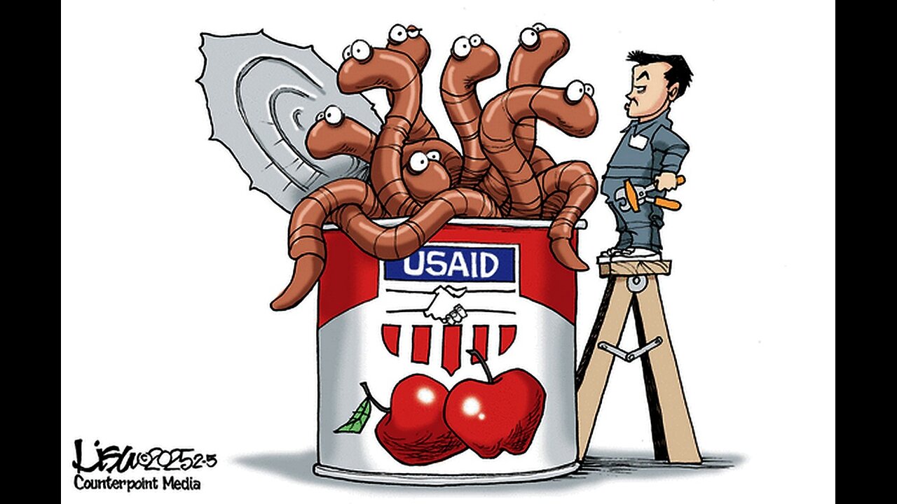 NEW BEST TRUMP MUSK POLITICAL CARTOONS JAN 24 #TRUMP #MUSK #CABINET #COMEDY #SATIRE #funny