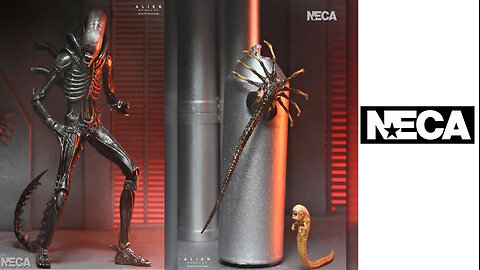 Alien Romulus - Xenomorph XX121 7" Action Figure [Neca]