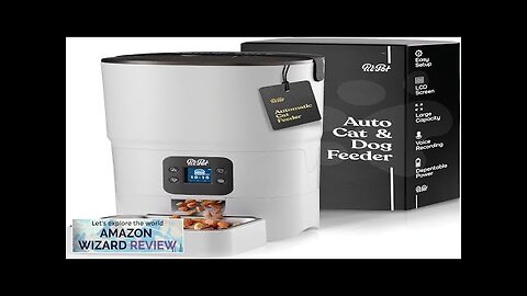 Smart Automatic Cat Feeder 6-L Reliable Automatic Cat Food Dispenser Review