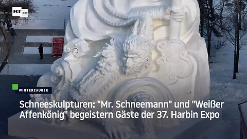 Schneeskulpturen: "Mr. Schneemann" und "Weißer Affenkönig" begeistern Gäste der 37. Harbin Expo