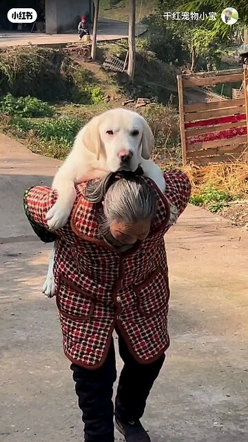 woomen and dog video