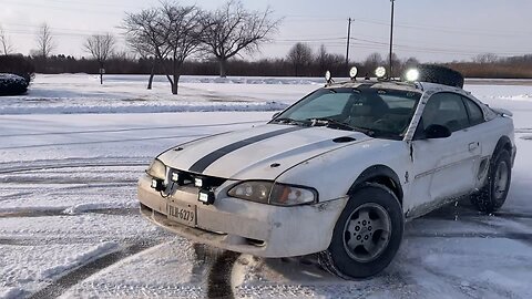 Rally mustang stage II