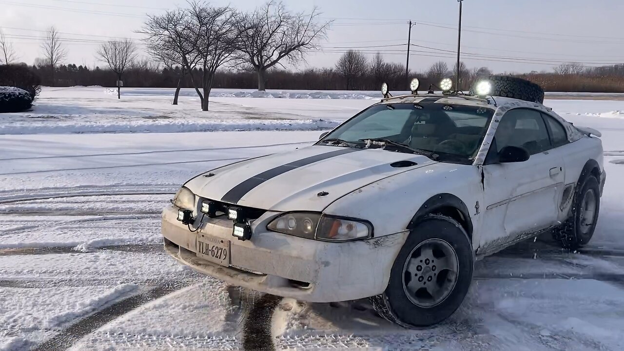 Rally mustang stage II