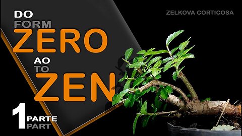 Do Zero ao Zen parte 1: Bonsai SP
