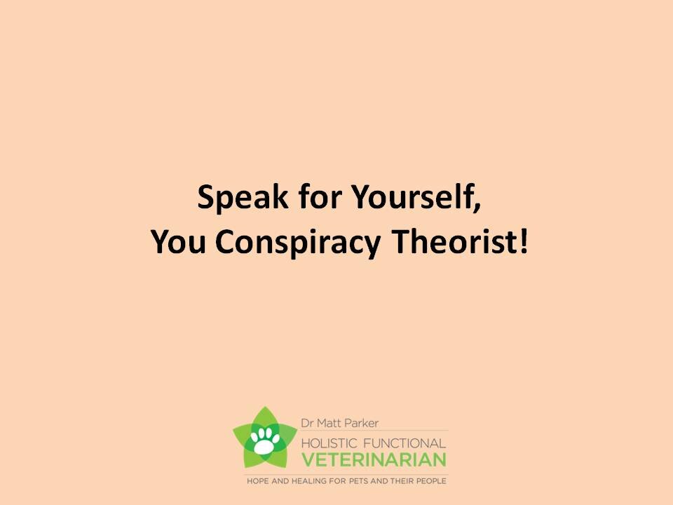 Speak for Yourself, You Conspiracy Theorist!