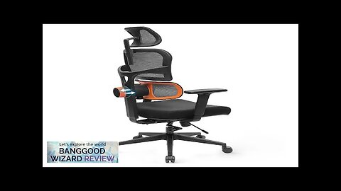 Standard Version NEWTRAL Ergonomic Office Chair High Back Desk Chair with Unique Review