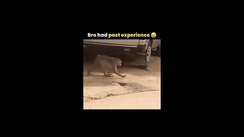 bro had past experience 🤣😂